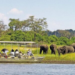 Explore chobe national park in Victoria Falls