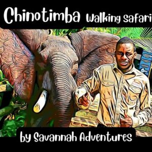 Explore local life-guided 4x4 township in Victoria Falls