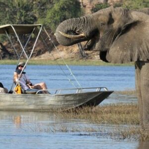 From victoria falls chobe national in Victoria Falls