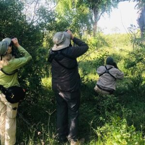 Full day birding zambezi national in Victoria Falls
