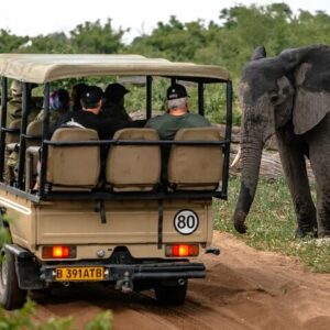 Full day chobe safari - in Victoria Falls