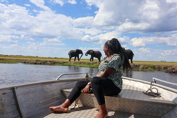Full day chobe safari tour in Victoria Falls