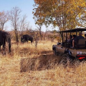 Full day hwange safari in Hwange National Park