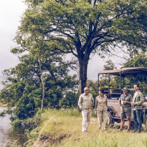 Game drive in the zambezi in Victoria Falls