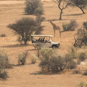 Game drive in victoria falls in Victoria Falls
