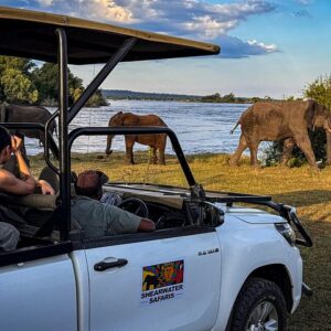 Game drive in zambezi national in Victoria Falls