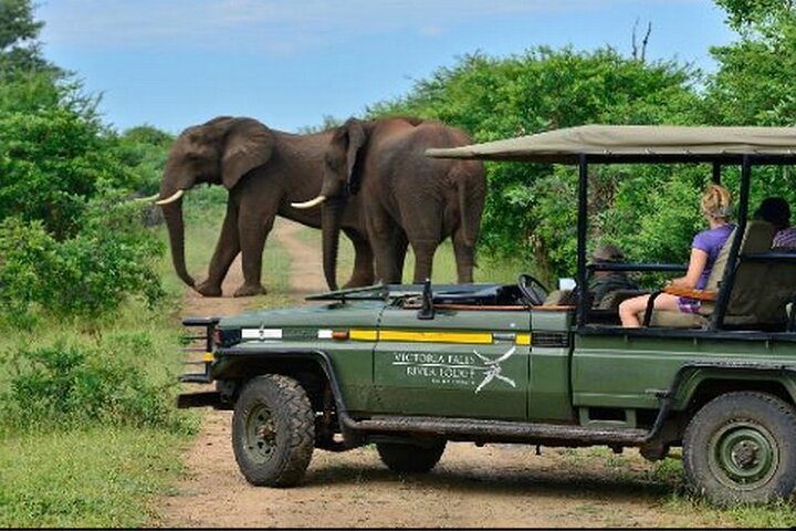 Game drives in the zambezi in Victoria Falls
