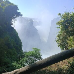 Guided tour of the victoria in Victoria Falls