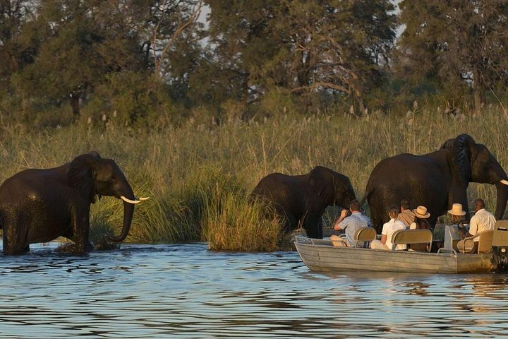 Half-day zambezi river canoeing experience in Victoria Falls