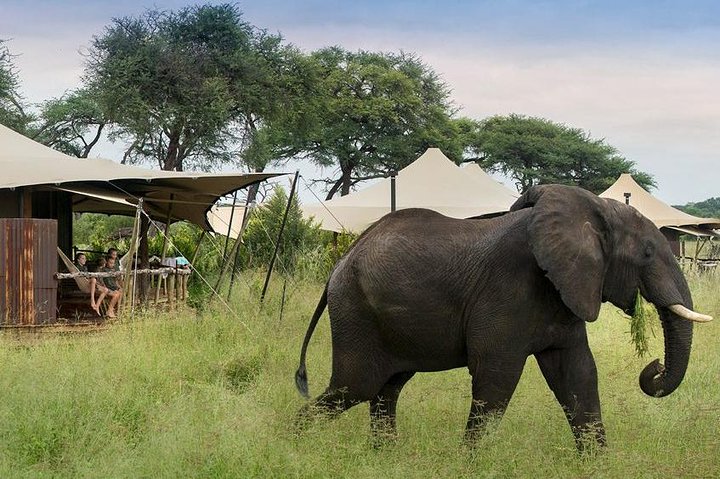 Hwange national park safari in Hwange National Park
