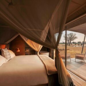 Linkwasha Camp, Hwange National Park, Zimbabwe