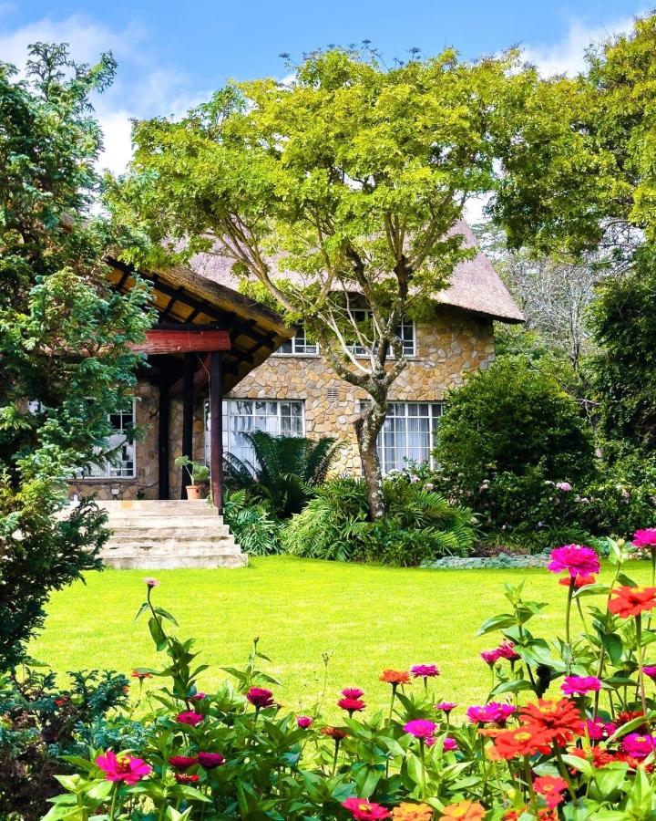 Luxury 7 Bed Home in Juliasdale, Nyanga, Zimbabwe
