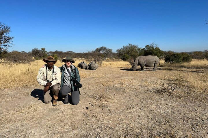 Matobo rhino encounter in Matobo Hills