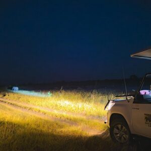 Night game drive in zambezi in Victoria Falls