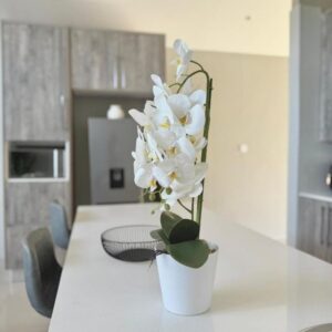 PEREZ Apartments, Greendale, Harare, Zimbabwe