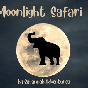 Private 4x4 stargazing moonlight experience in Victoria Falls