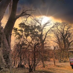 Private tour of victoria falls in Victoria Falls