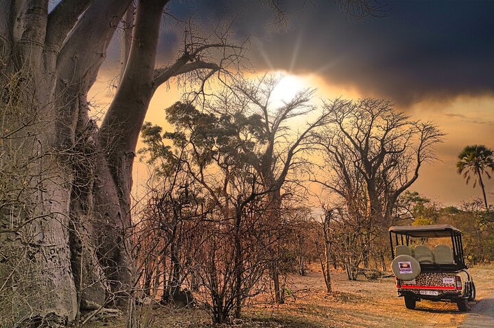 Private tour of victoria falls in Victoria Falls