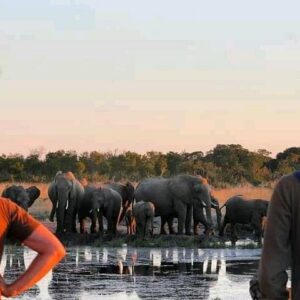 Safari game drive in zambezi in Victoria Falls