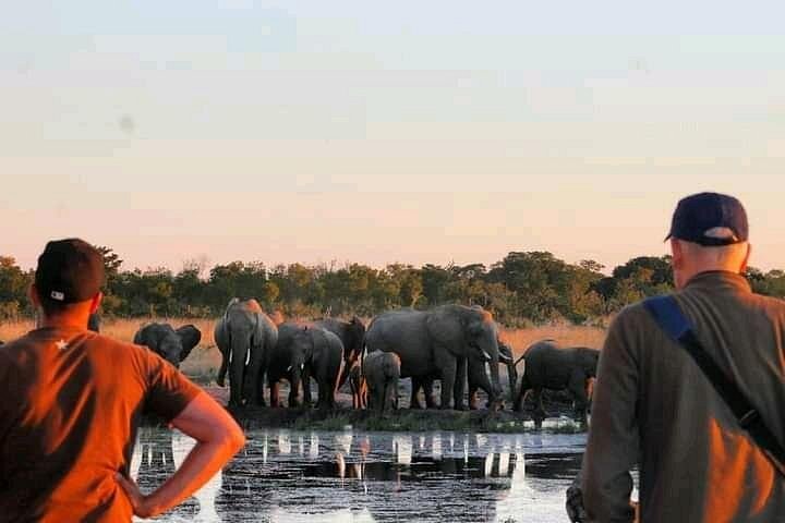 Safari game drive in zambezi in Victoria Falls