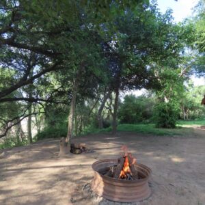 Schimper Mwenezi View, Lowveld, Zimbabwe
