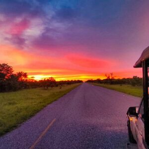 Sunrise safari game drive in Victoria Falls