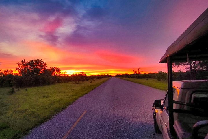 Sunrise safari game drive in Victoria Falls