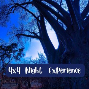 Unique 4x4 night safari in Victoria Falls