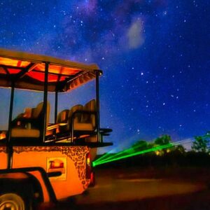 Unique night safari game drive in Victoria Falls