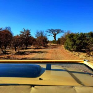 Unique safari game drive sin in Victoria Falls
