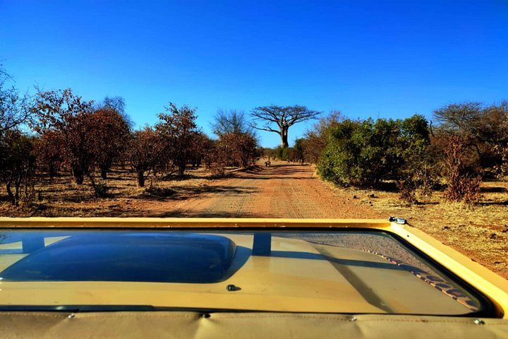 Unique safari game drive sin in Victoria Falls