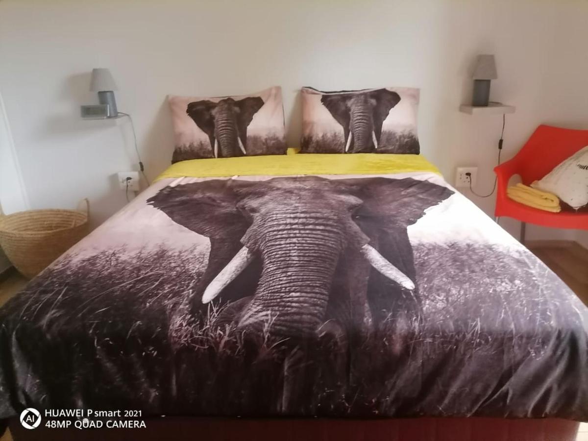 Victoria Falls African Guest House, Victoria Falls, Zimbabwe