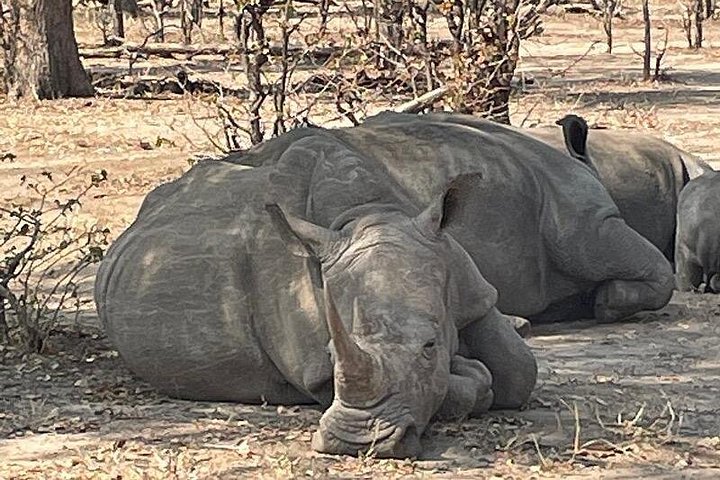 Victoria falls safari adventure both in Victoria Falls