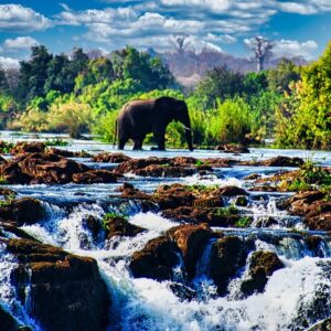 Подробнее: of the falls bridge in Victoria Falls