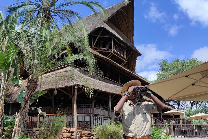 Vulture experience with bush walk in Victoria Falls