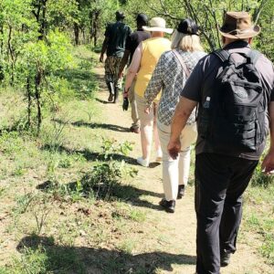 White rhino private walking safari in Victoria Falls