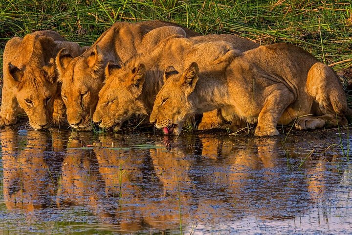 Wonder victoria falls adventure 6days in Victoria Falls