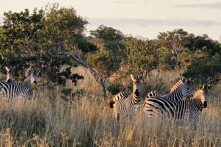 Zambezi national park 3 hour in Victoria Falls