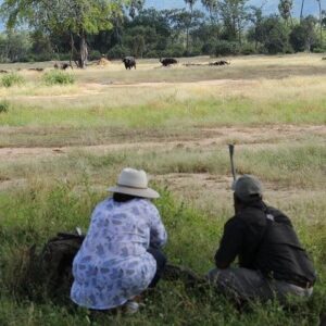 Zambezi national park walking safari in Victoria Falls
