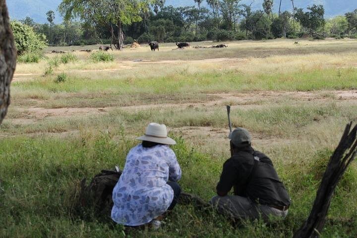 Zambezi national park walking safari in Victoria Falls