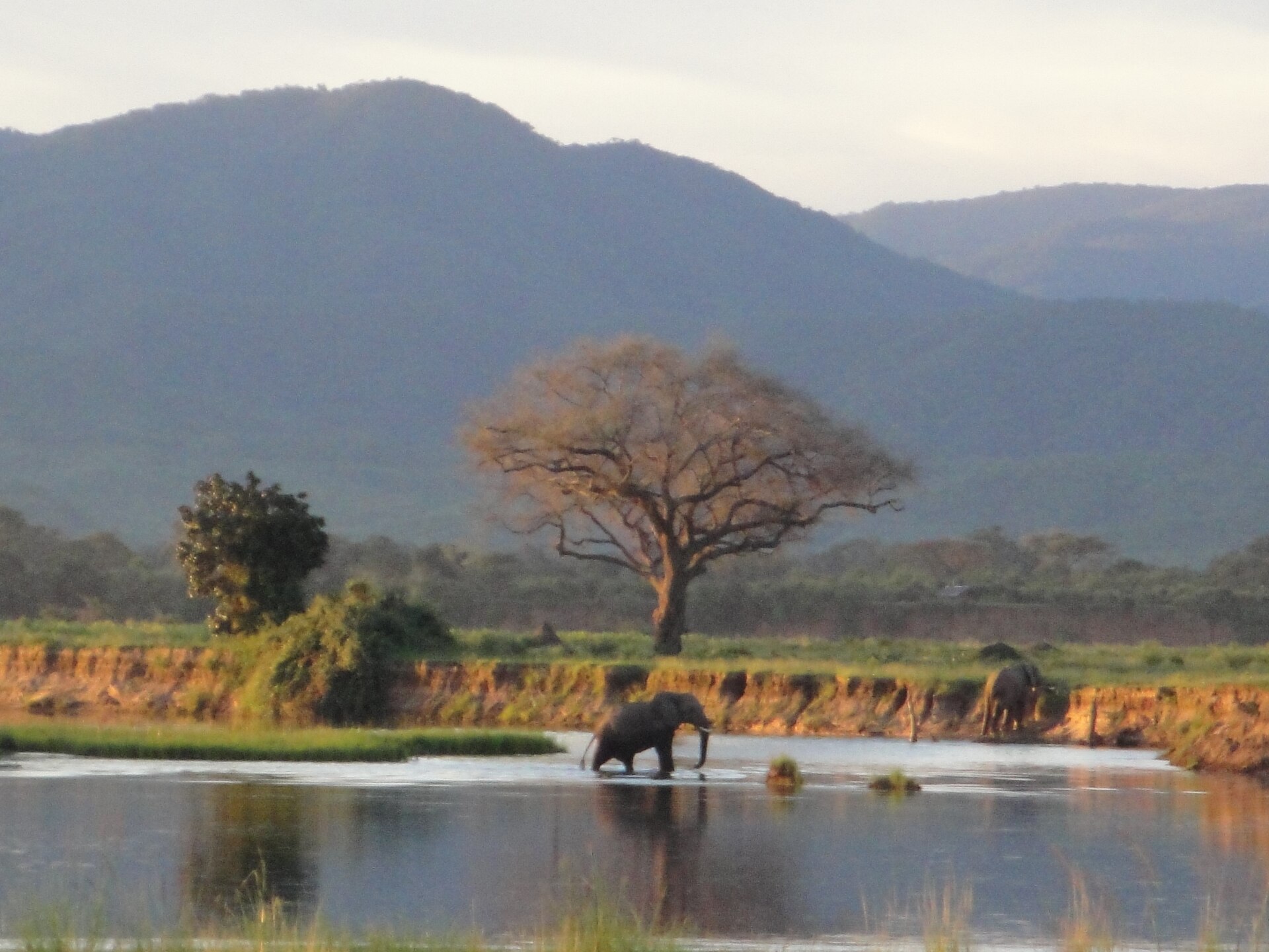 The Zambezi River and floodplain at Mana Pools National Park, with the escarpment beyond